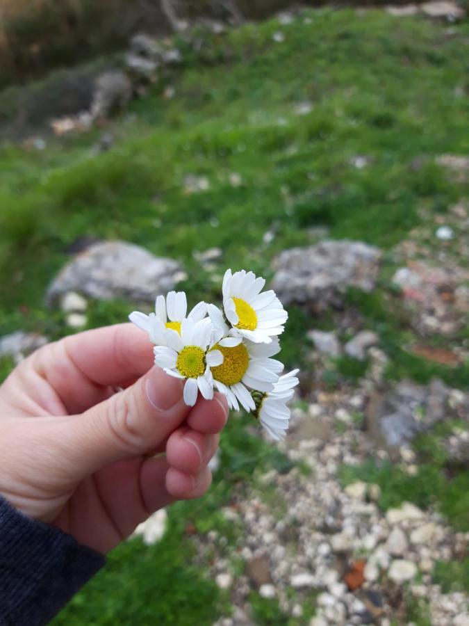 אוריקום Villa Fredi מראה חיצוני תמונה